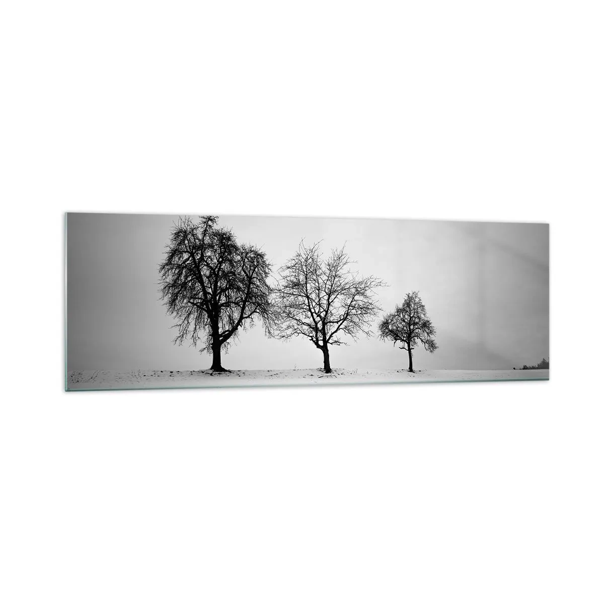 Impression sur verre - Image sur verre - Trois arbres dans un champ enneigé dans un style monochrome - 160x50cm - A quoi rêvent-ils? - Décoration murale moderne pour le salon et la chambre ARTTOR