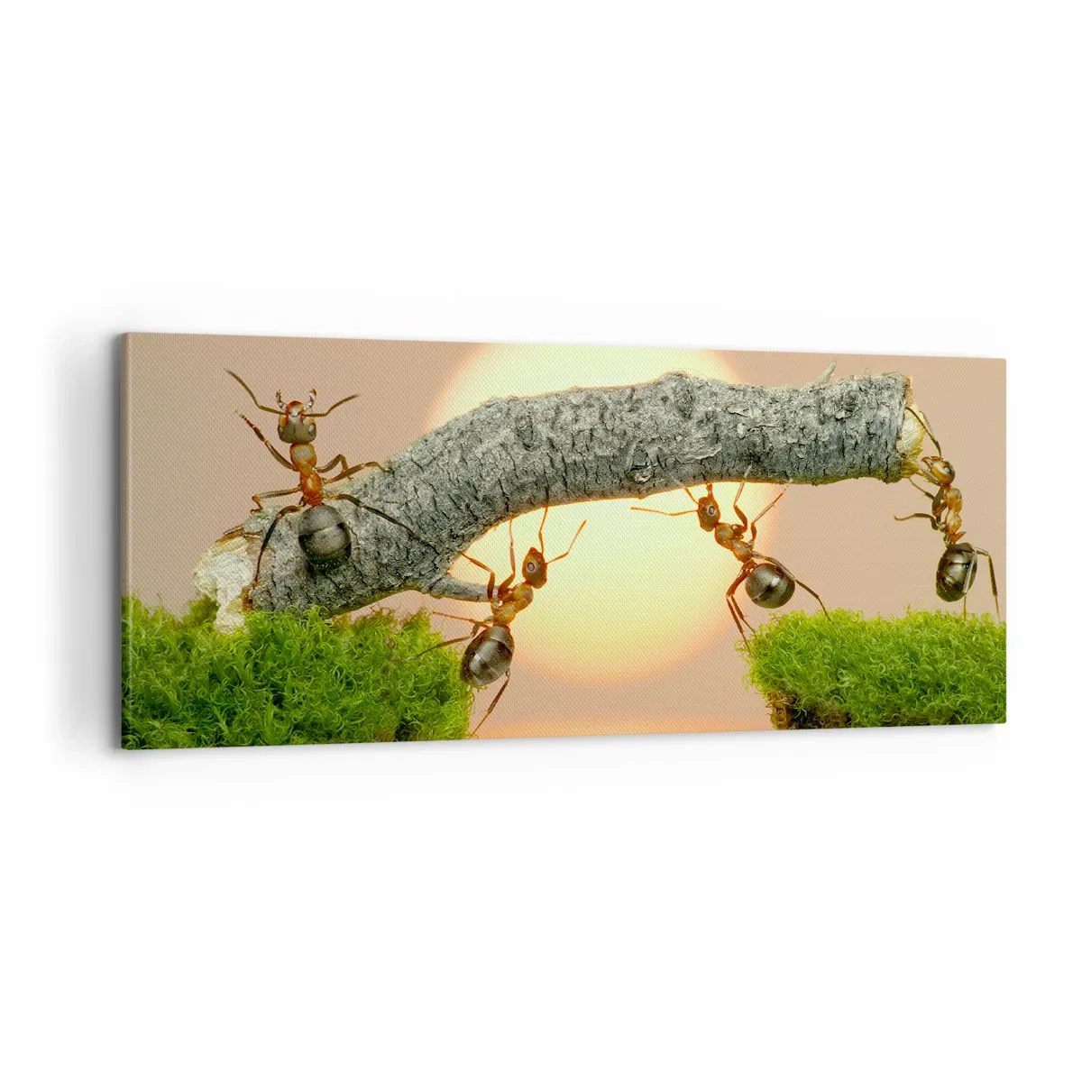 Impression sur toile - Image sur toile - La joie, travaille d'équipe - 100x40 cm