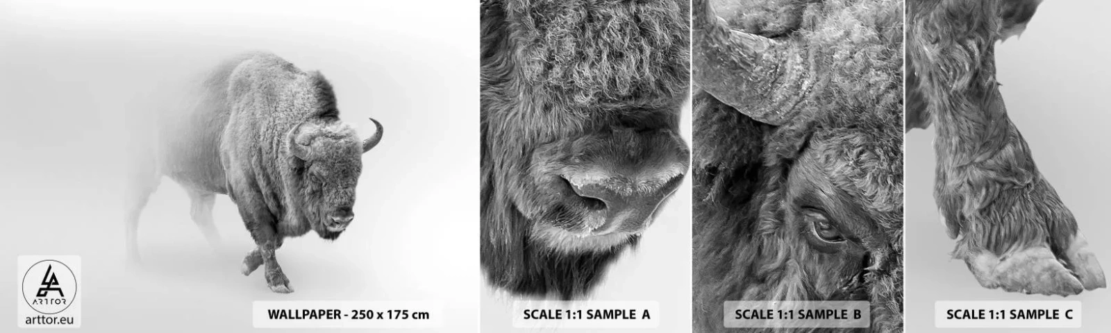 Échantillon de Papier Peint Autocollant Deluxe Sticker - Roi de la prairie - Sage, Animaux, Bison - 100x30 cm