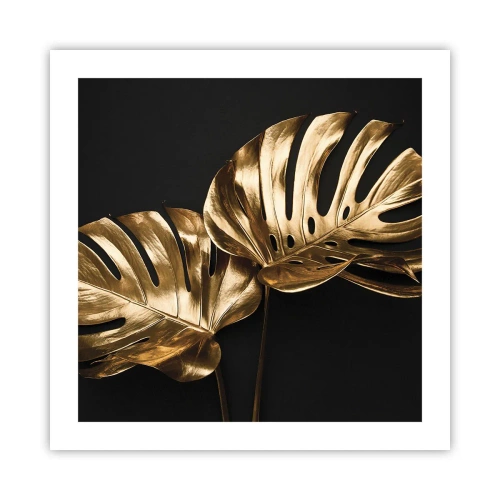 Affiche - Poster - Les trésors de la nature - 50x50 cm