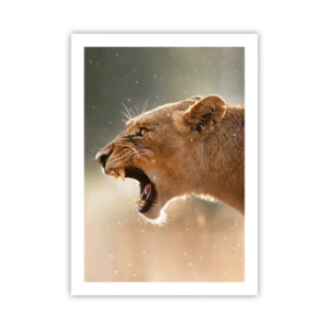 Affiche - Poster - Gros plan d'une lionne furieuse en plein mouvement - 50x70cm - Essayez  de ne pas écouter - Décoration murale moderne pour le salon et la chambre ARTTOR