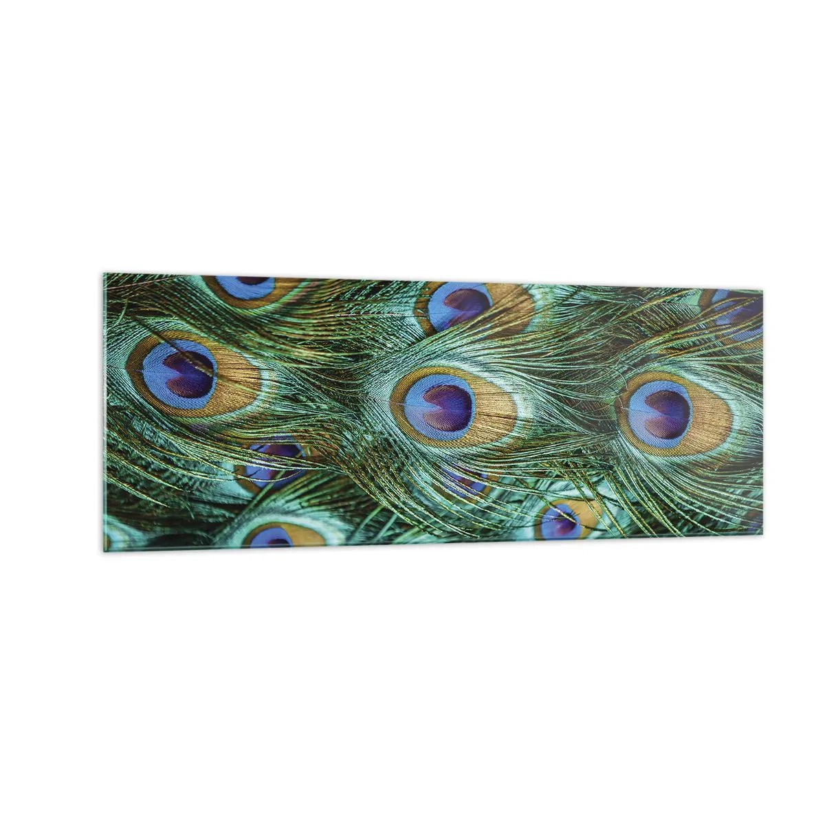 Impression sur verre - Image sur verre - Détails des plumes de paon aux couleurs riches - 140x50cm - Un regard de paon - Décoration murale moderne pour le salon et la chambre ARTTOR