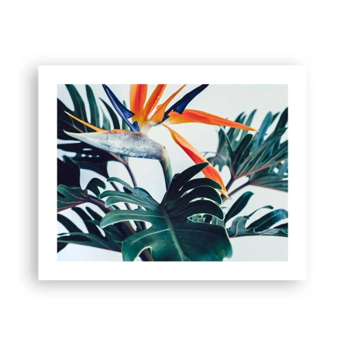 Affiche - Poster - Le buisson oiseaux - 50x40 cm