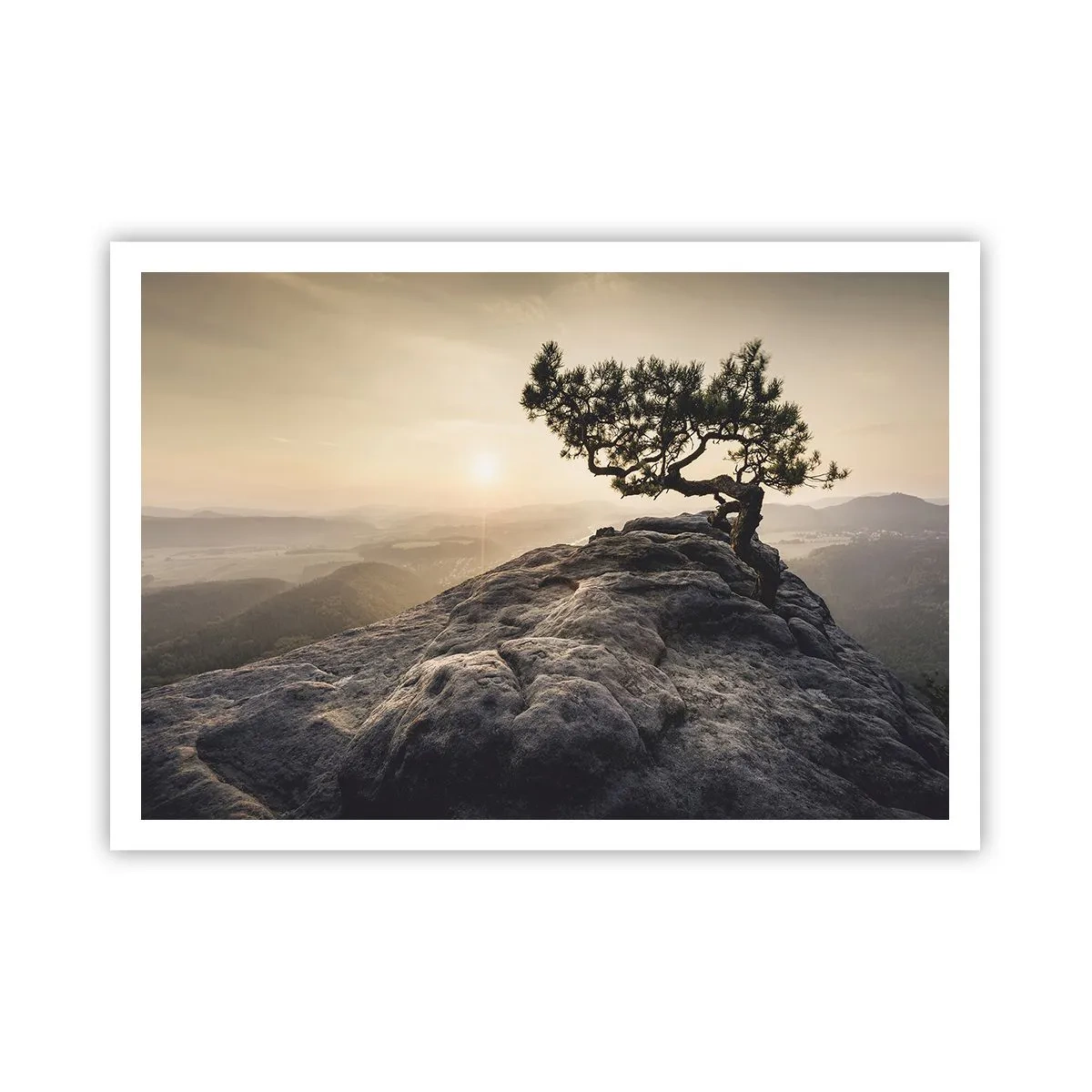Affiche - Poster - Un arbre solitaire sur un pic rocheux au soleil - 100x70cm - La vie gagne toujours - Décoration murale moderne pour le salon et la chambre ARTTOR