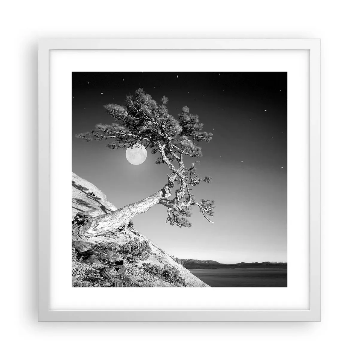 Affiche dans un cadre blanc - Poster - Un combattant vainqueur - 40x40 cm