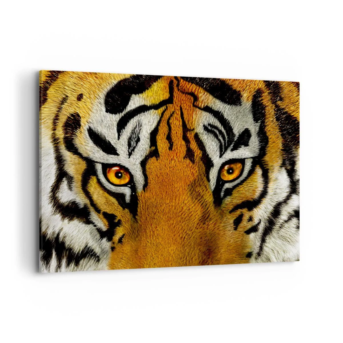 Impression sur toile - Image sur toile - Portrait en gros plan d'un tigre au regard intense - 120x80cm - Terrible et beau - Décoration murale moderne pour le salon et la chambre ARTTOR