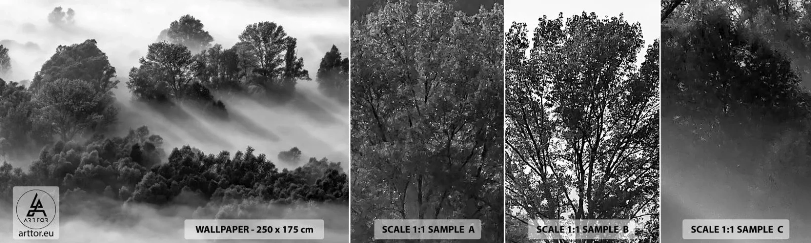 Échantillon De Papier Peint Standard Eco - Sortir de son sommeil - Paysage, Forêt, Brouillard - 100x30 cm