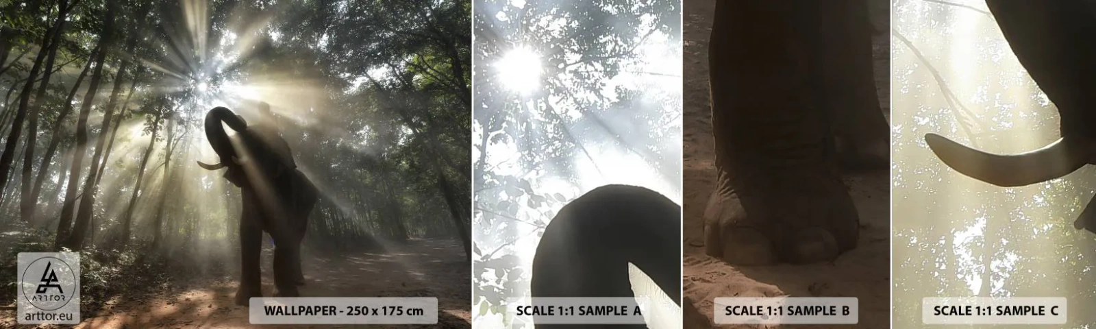 Échantillon De Papier Peint Standard Eco - Sous la bonne étoile - Paysage, Éléphant, Jungle - 100x30 cm