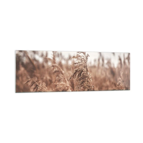 Impression sur verre - Image sur verre - Herbes dorées sur fond de paysage d'automne - 160x50cm - C'est déjà l'automne dans les champs - Décoration murale moderne pour le salon et la chambre ARTTOR