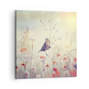 Impression sur toile - Image sur toile - Portrait d'oiseau sur pré en fond - 60x60 cm