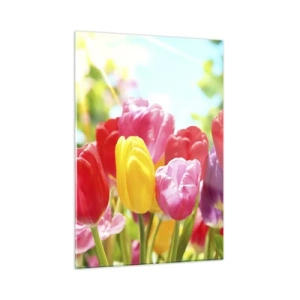 Impression sur verre - Image sur verre - Tulipes colorées à la lumière du soleil printanier - 50x70cm - C'est nous, les couleurs de Mai! - Décoration murale moderne pour le salon et la chambre ARTTOR