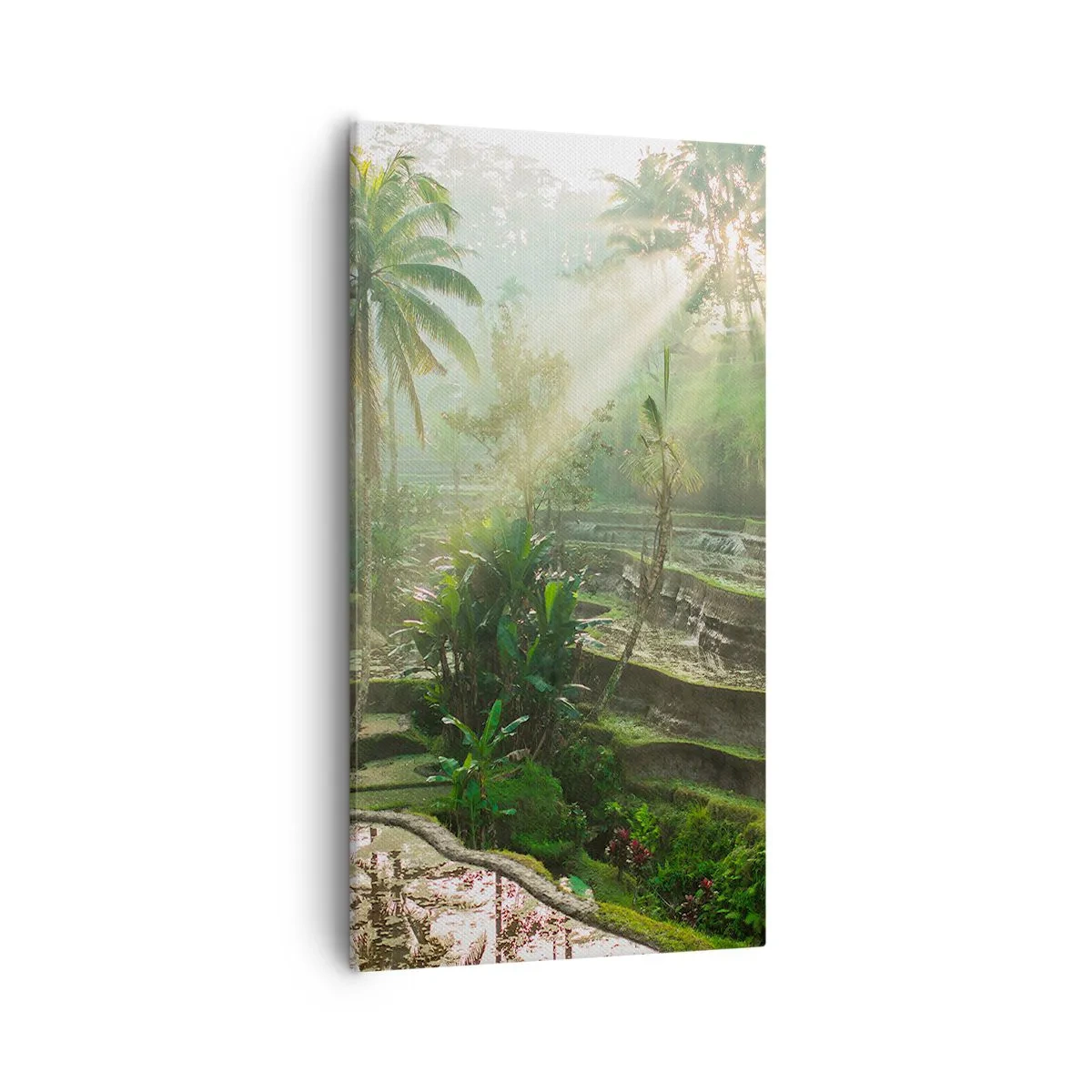 Impression sur toile - Image sur toile - Grandir au soleil - 55x100 cm