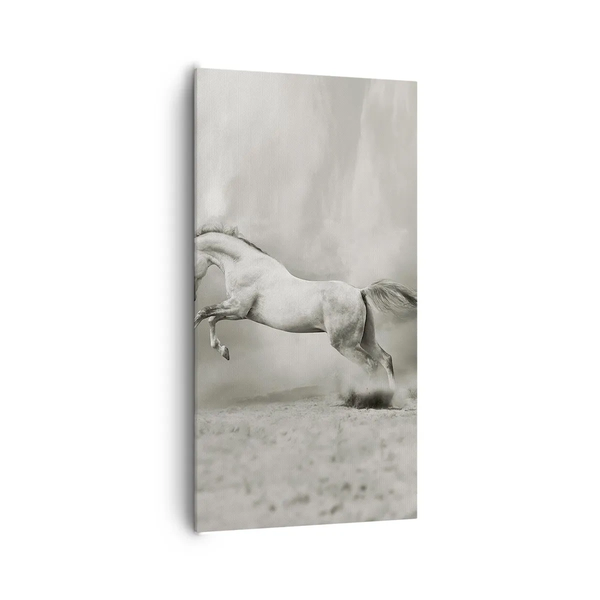 Impression sur toile - Image sur toile - Entre le réveil et le sommeil - 65x120 cm