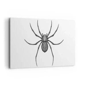 Impression sur toile - Image sur toile - Détail d'une araignée sur fond blanc dans un style dessin animé - 100x70cm - Une précision troublante - Décoration murale moderne pour le salon et la chambre ARTTOR