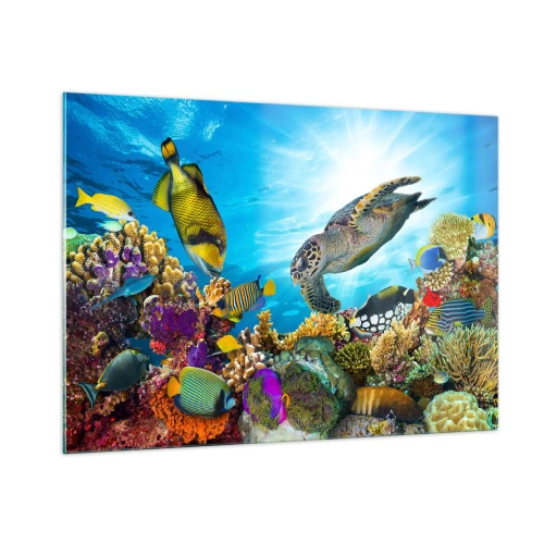 Impression sur verre - Image sur verre - Scène sous-marine avec tortue, poissons et coraux - 100x70cm - Promenade de corail - Décoration murale moderne pour le salon et la chambre ARTTOR