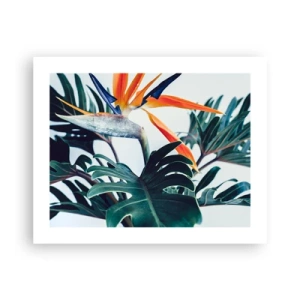 Affiche - Poster - Le buisson oiseaux - 50x40 cm