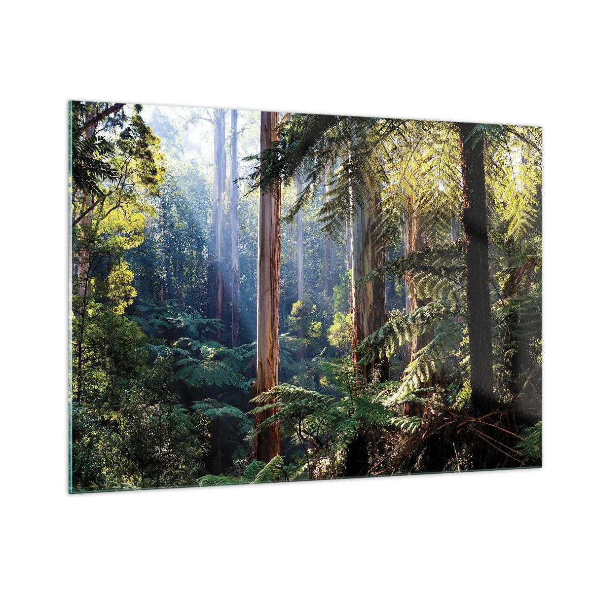 Impression sur verre - Image sur verre - Forêt tropicale verte avec des rayons de soleil - 100x70cm - Fable de la forêt - Décoration murale moderne pour le salon et la chambre ARTTOR