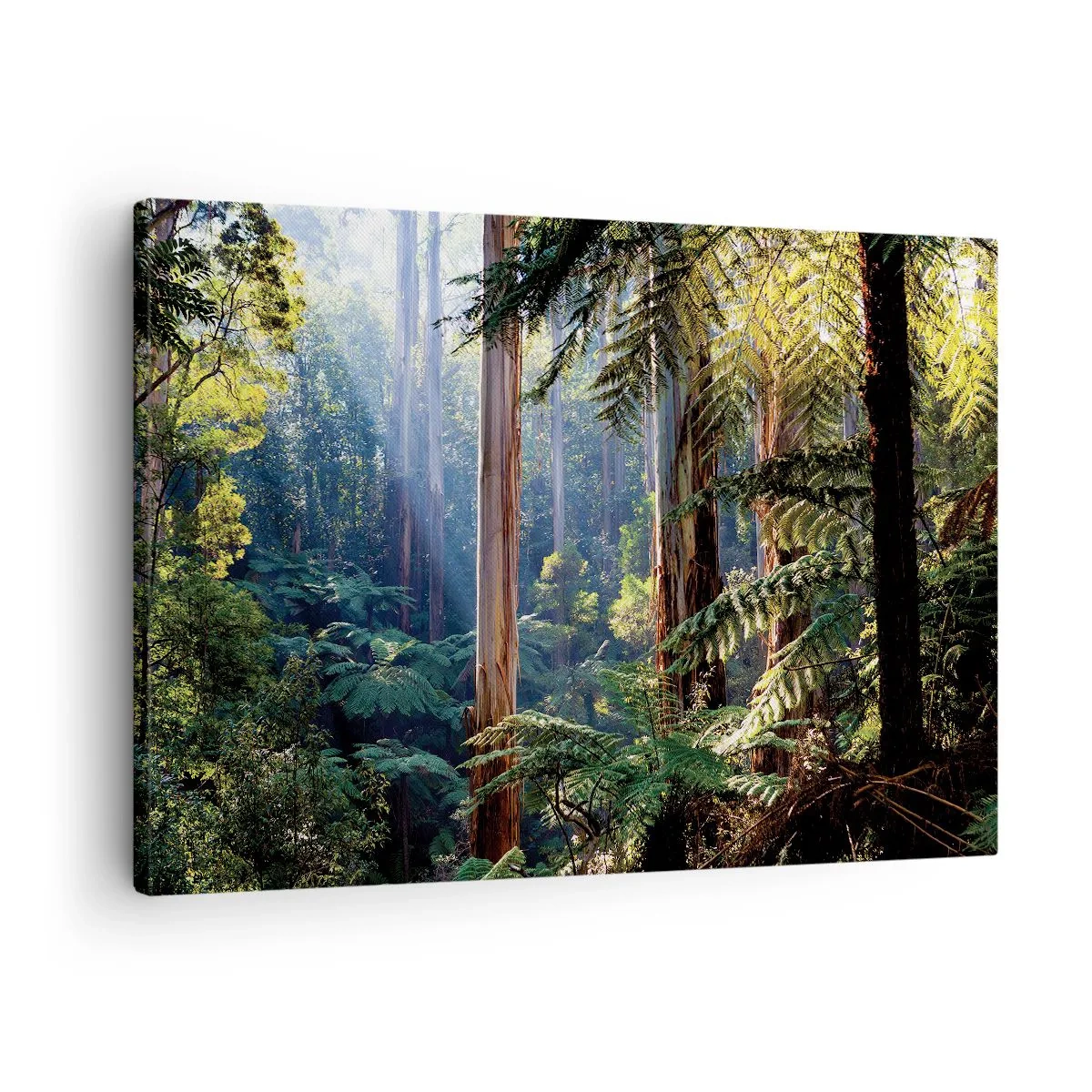 Impression sur toile - Image sur toile - Forêt tropicale illuminée par les rayons du soleil - 70x50cm - Fable de la forêt - Décoration murale moderne pour le salon et la chambre ARTTOR