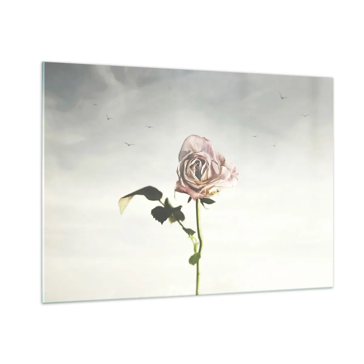 Impression sur verre - Image sur verre - Une rose délicate contre le ciel avec des oiseaux en vol - 100x70cm - Bonjour de printemps - Décoration murale moderne pour le salon et la chambre ARTTOR