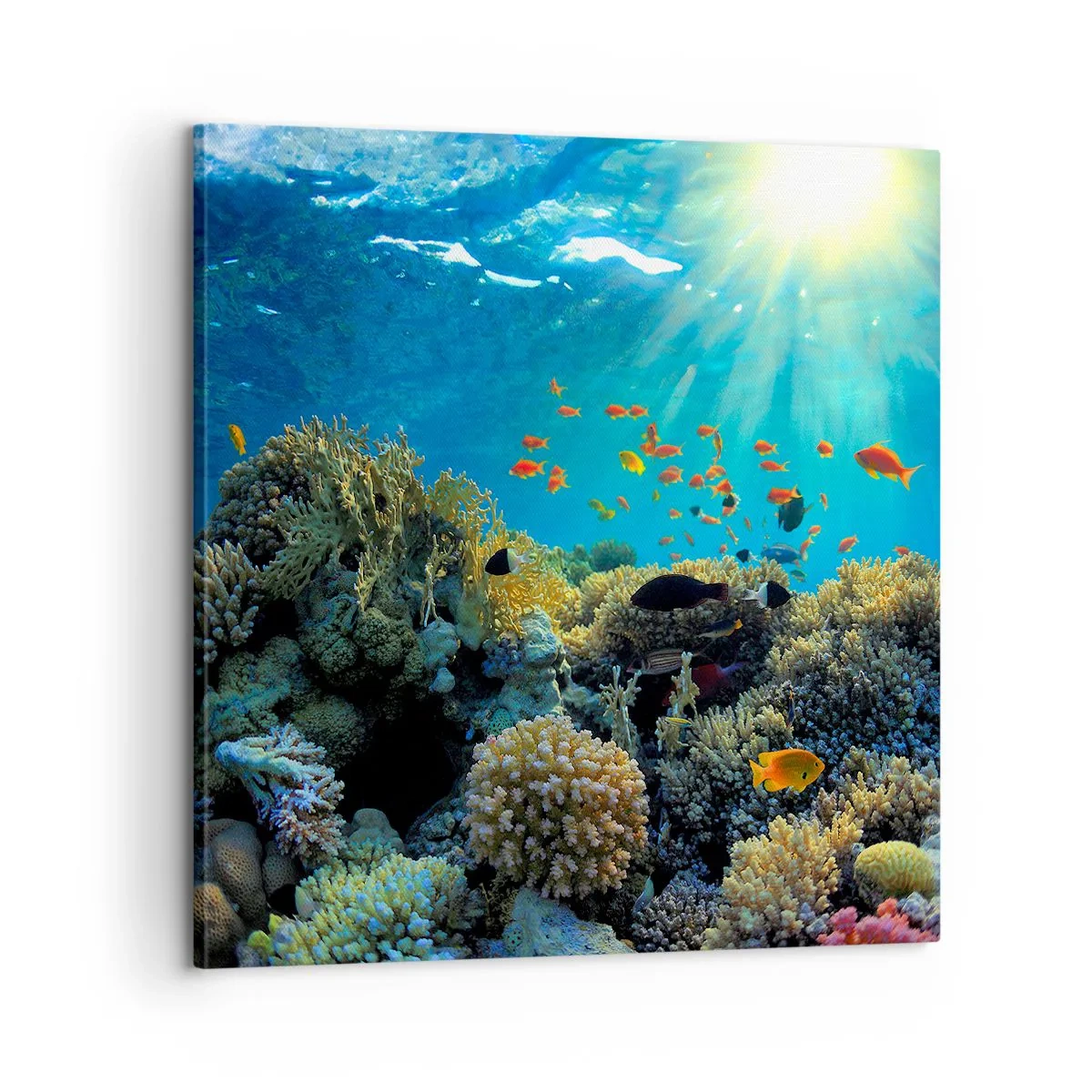 Impression sur toile - Image sur toile - Trésor sous-marin - 60x60 cm
