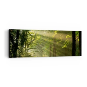 Impression sur toile - Image sur toile - Moment de forêt - 90x30 cm
