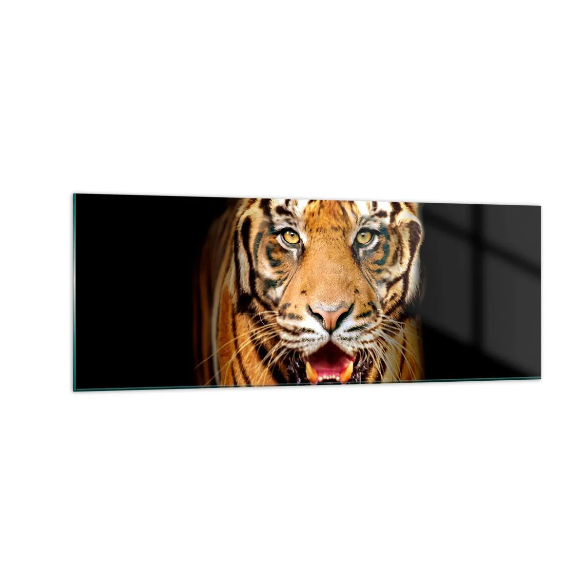 Impression sur verre - Image sur verre - Un tigre avec la gueule ouverte sur un fond noir - 140x50cm - Le coeur sauvageon - Décoration murale moderne pour le salon et la chambre ARTTOR