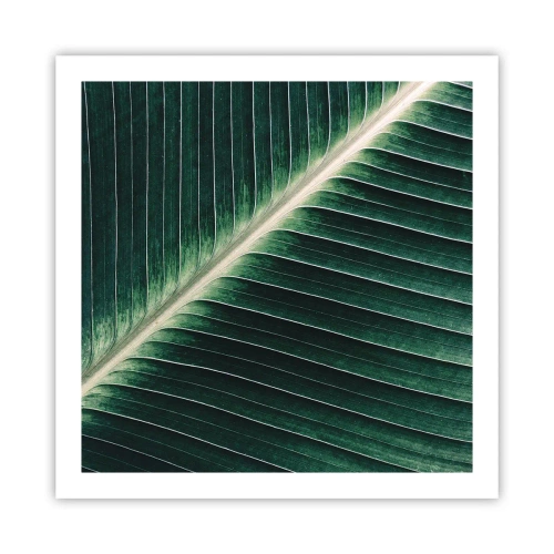 Affiche - Poster - Le rythme de la nature - 60x60 cm