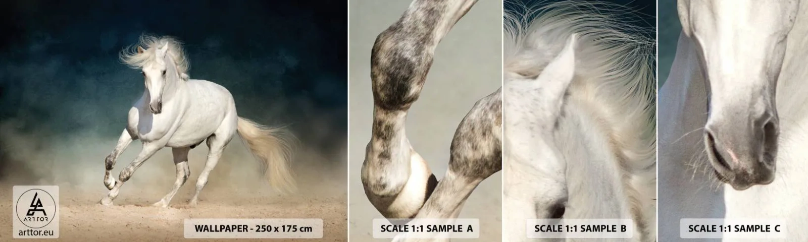 Échantillon De Papier Peint Standard Eco - La liberté à l'état pur - Cheval, Animal, Blanc - 100x30 cm