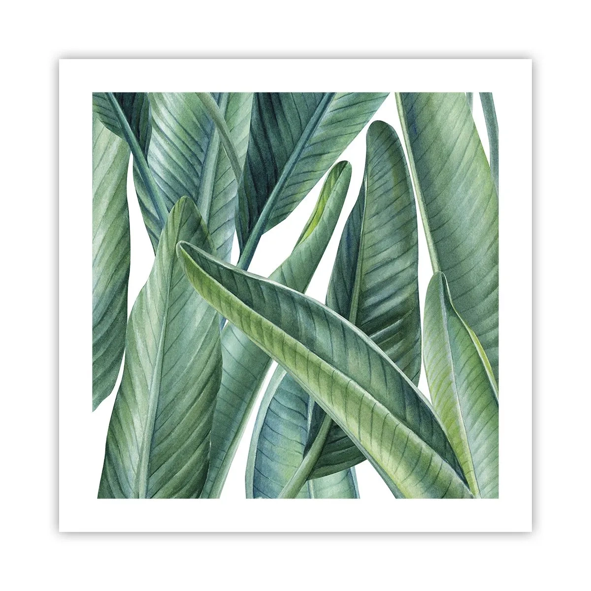 Affiche - Poster - La nature face à elle-même - 50x50 cm