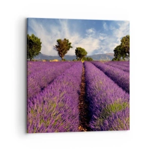 Impression sur toile - Image sur toile - Champs de lavande - 70x70 cm