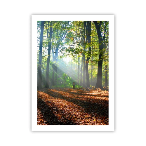 Affiche - Poster - Rayons de soleil dans la forêt d'automne - 50x70cm - Ombres et lumières - Décoration murale moderne pour le salon et la chambre ARTTOR
