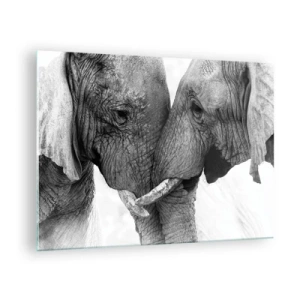 Impression sur verre - Image sur verre - Deux éléphants se touchant le front en noir et blanc - 70x50cm - Confession sincère - Décoration murale moderne pour le salon et la chambre ARTTOR