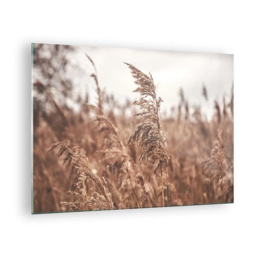 Impression sur verre - Image sur verre - Herbes séchées dans le vent dans la lumière d'automne de la nature - 70x50cm - C'est déjà l'automne dans les champs - Décoration murale moderne pour le salon et la chambre ARTTOR