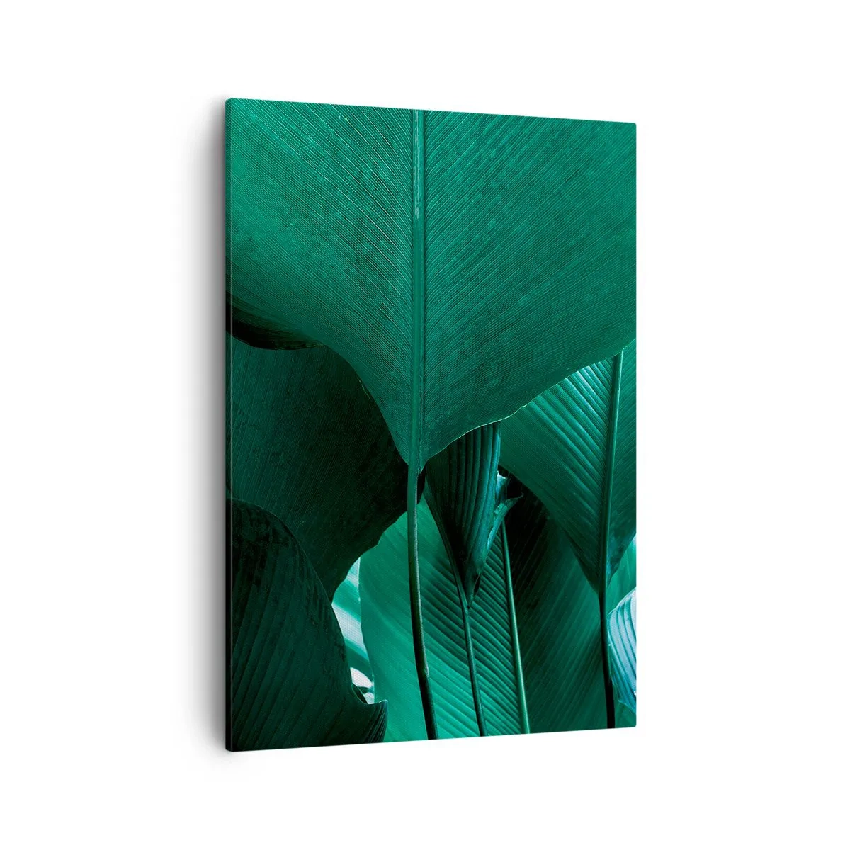 Impression sur toile - Image sur toile - Feuilles vertes dans une composition minimaliste - 50x70cm - Tourné vers la lumière - Décoration murale moderne pour le salon et la chambre ARTTOR