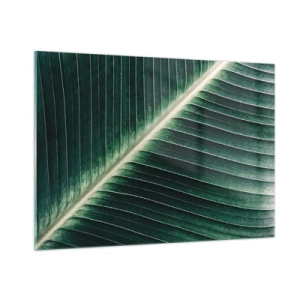 Impression sur verre - Image sur verre - Détail d'une feuille de bananier dans une nuance de vert intense - 100x70cm - Le rythme de la nature - Décoration murale moderne pour le salon et la chambre ARTTOR