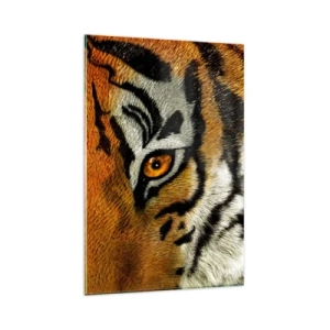 Impression sur verre - Image sur verre - Portrait en gros plan d'un tigre au regard intense - 80x120cm - Terrible et beau - Décoration murale moderne pour le salon et la chambre ARTTOR