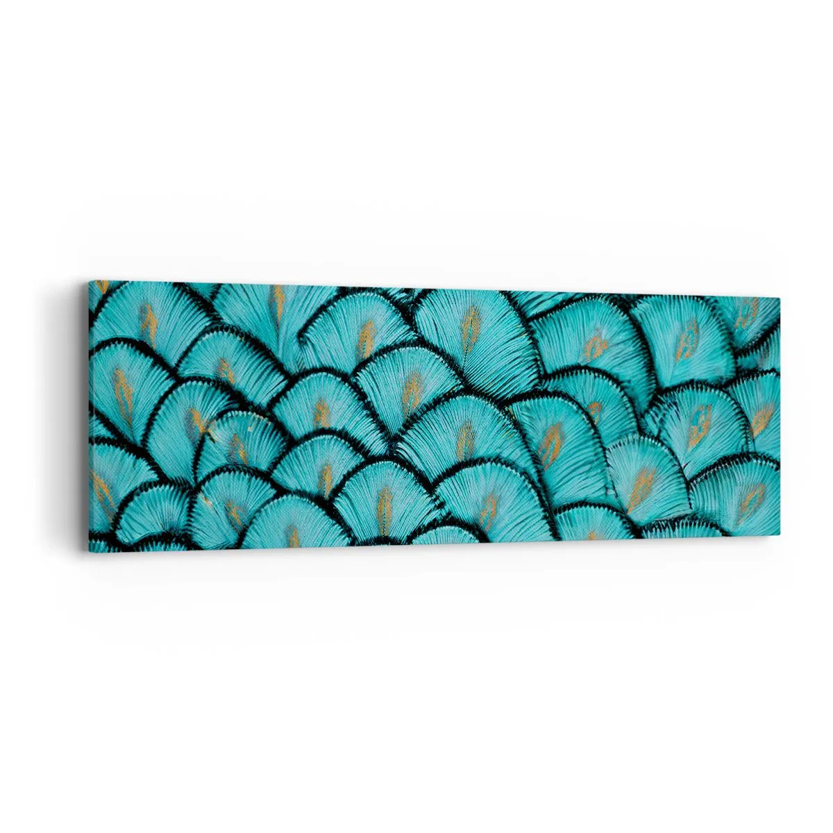 Impression sur toile - Image sur toile - Le grand gala des plumes - 90x30 cm