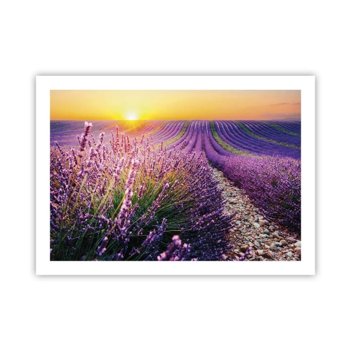 Affiche - Poster - Tige parfumée - 70x50 cm