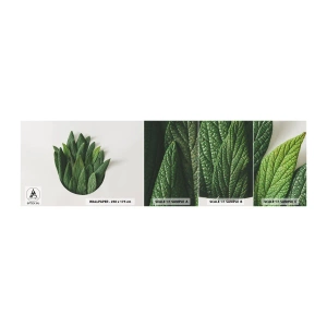 Échantillon De Papier Peint Standard Eco - Curiosité sans retenue - Sage, feuille de sauge, Herbe - 100x30 cm