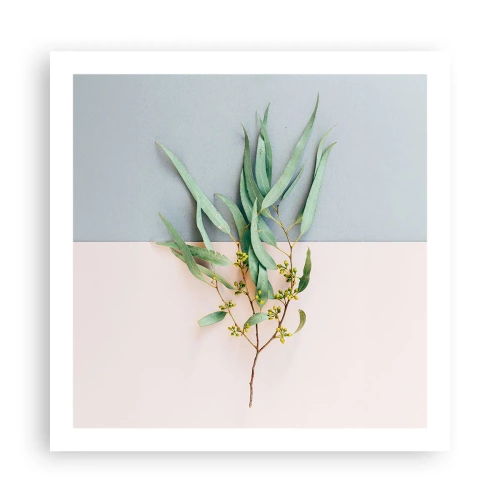 Affiche - Poster - Subtilité pastel - 60x60 cm