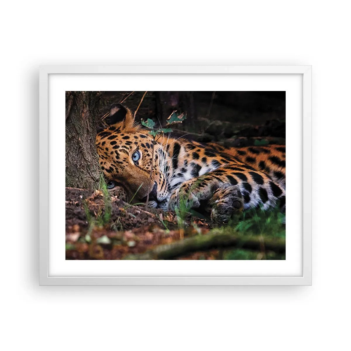 Affiche dans un cadre blanc - Poster - Fais-moi confiance - 50x40 cm