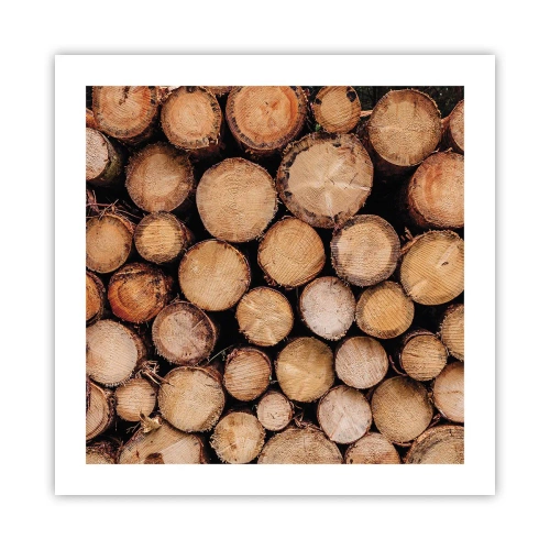 Affiche - Poster - Nouveau commencement - 50x50 cm