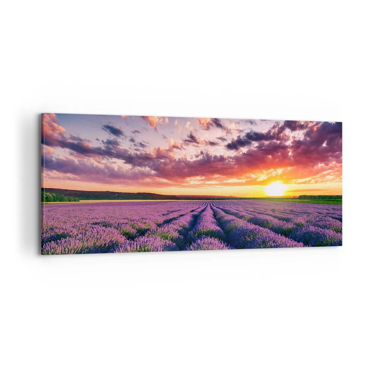 Impression sur toile - Image sur toile - Un champ de lavande au coucher du soleil avec un ciel coloré - 120x50cm - Monde de lavande - Décoration murale moderne pour le salon et la chambre ARTTOR