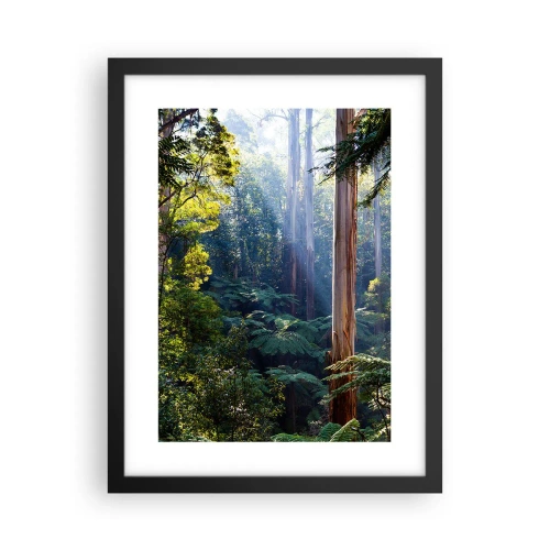 Affiche dans un cadre noir - Poster - Fable de la forêt - 30x40 cm