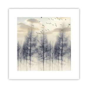 Affiche - Poster - L'âme de la forêt - 30x30 cm