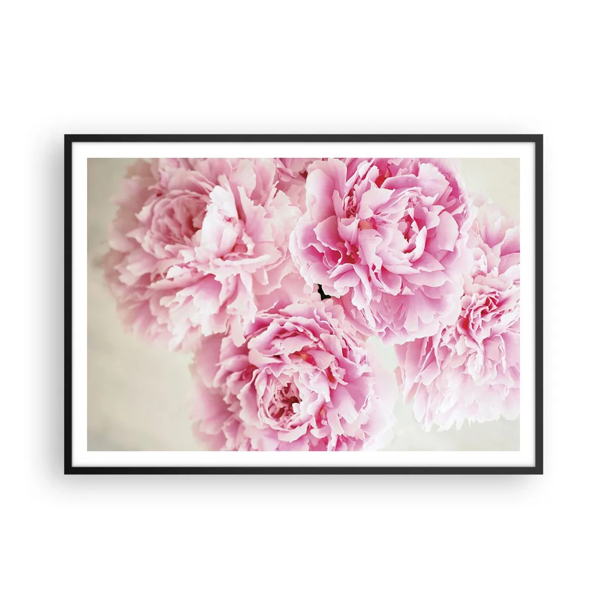Affiche dans un cadre noir - Poster - Un bouquet de pivoines roses sur fond clair - 100x70cm - En glamour rose - Décoration murale moderne pour le salon et la chambre ARTTOR