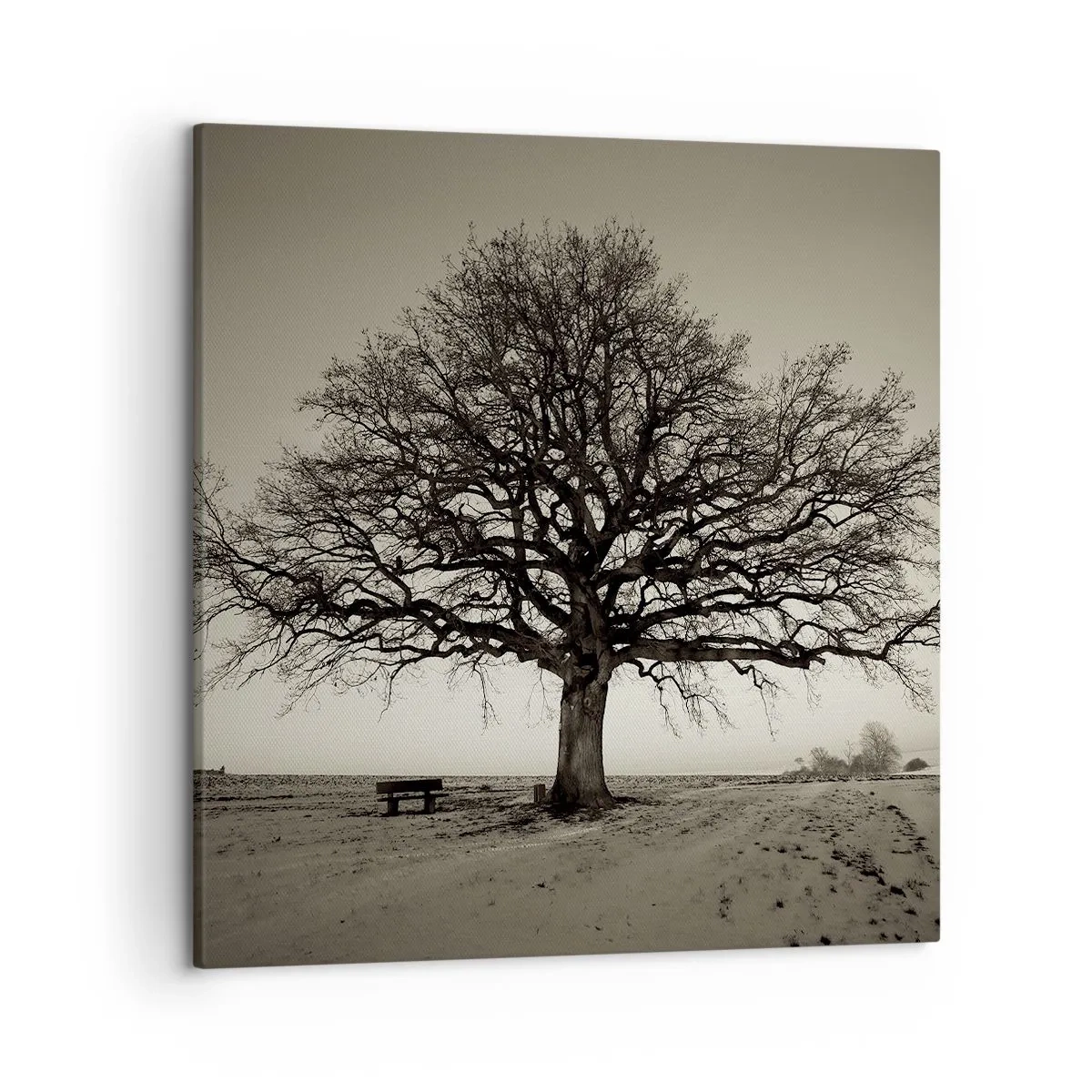 Impression sur toile - Image sur toile - D'ici à l'éternité - 50x50 cm