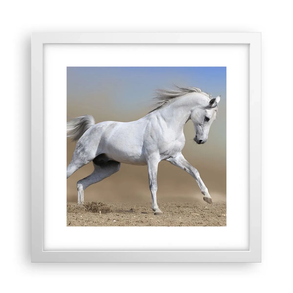 Affiche dans un cadre blanc - Poster - Le plus beau conte de fées arabe - 30x30 cm