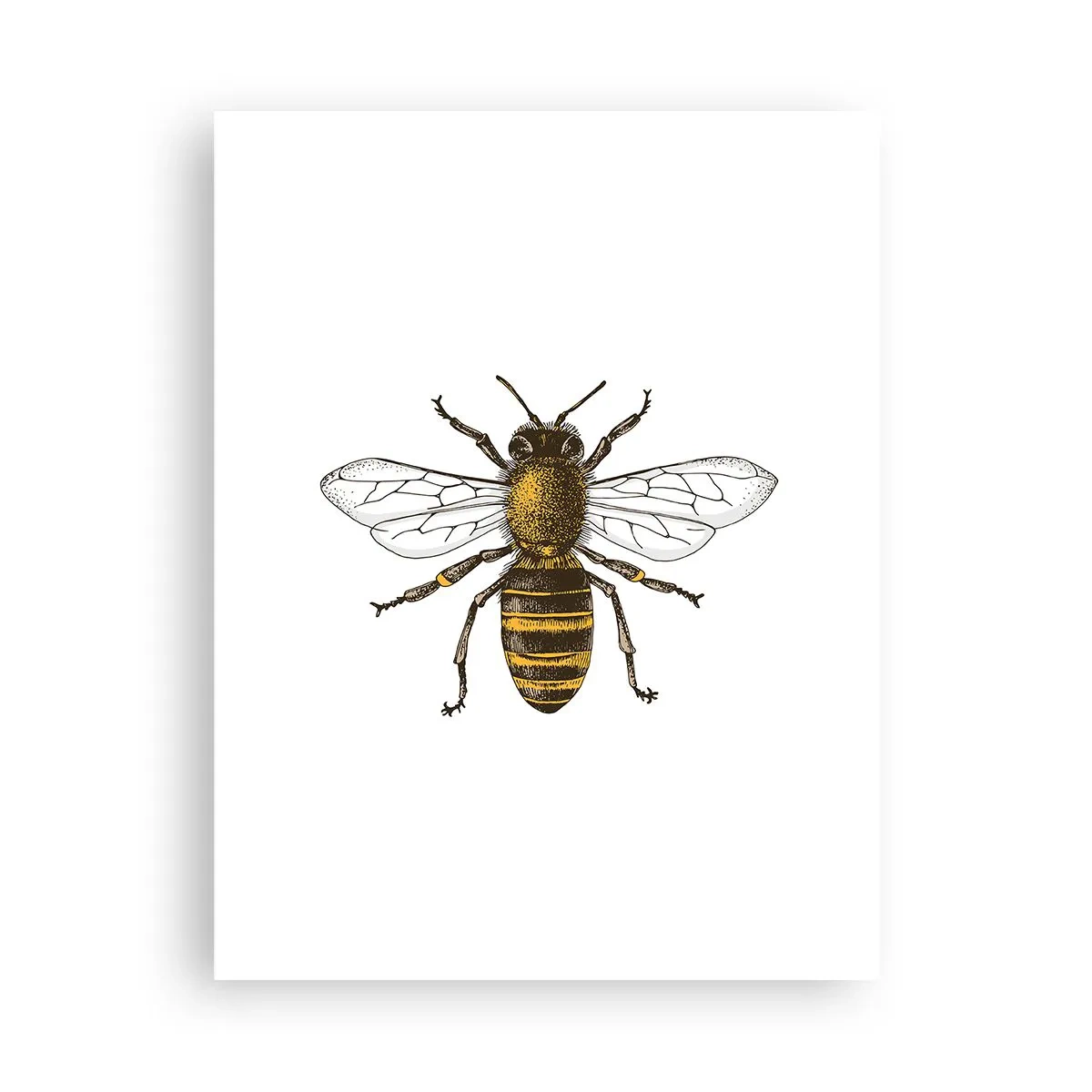 Affiche - Poster - Belle et bonne - 30x40 cm