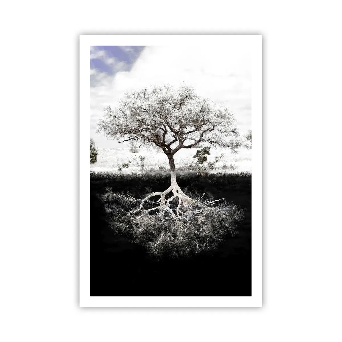 Affiche - Poster - Découvrir la nature du monde - 61x91 cm